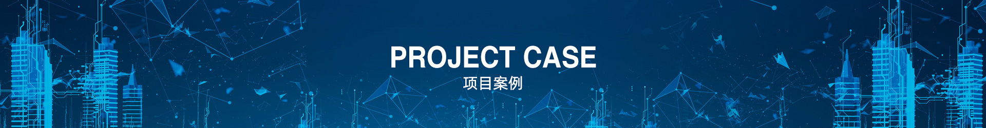 项目案例